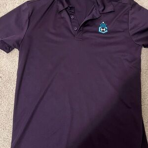 Men's Charlotte Hornets Purple Polo Shirt